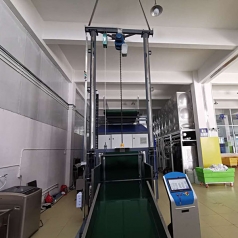 Shuttle Conveyor